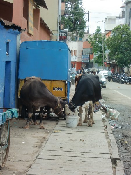 India Trip - July 2010 174.jpg